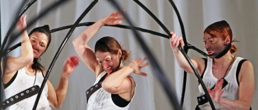 Event-Image for 'richtigfalsch - Tanzbilder einer wirren Welt'