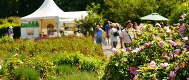 Event-Image for 'Rosengartenfest Bad Sassendorf'
