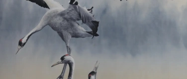 Event-Image for 'Vernissage in der Kunstgalerie: Tiermalerin Ute Bartels'