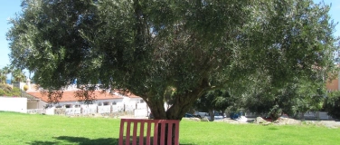 Event-Image for 'Ganzheitl. Stress- und Burnout-Präventionsberater/Resilienzc'