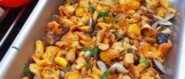 Event-Image for 'Pilze & Grillen: Sammeln, Bestimmen, Zubereiten & Genießen'