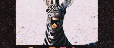 Event-Image for 'SamTyZebra - Zebra & Friends Live'