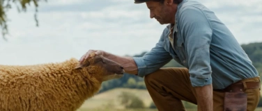 Event-Image for 'Strick-Kino: "Glennkill: Ein Schafskrimi"'