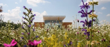 Event-Image for 'Mit Kindern die Wiese erkunden und Artenvielfalt entdecken'