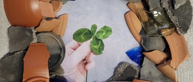 Event-Image for 'Scherben und andere Glücksbringer: Neujahrsführung'