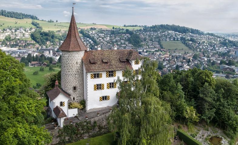 Führung durch das Schloss Schauensee Tickets