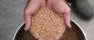 Event-Image for 'CRAFTBEER &ndash; Braukurs'