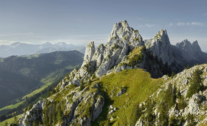 Digital Detox Camps Sommer 2026 Tickets