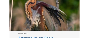Event-Image for 'Artenschutz am Rhein und Naturreise mit Urs Heinz Aerni'