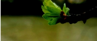 Event-Image for 'Photo Walk'
