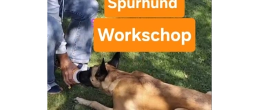 Event-Image for 'Nasearbeit f&uuml;r jeden Hund ab 6Monate'