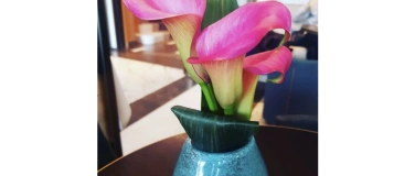 Event-Image for 'REIKI 1 Seminar am Sa 28. M&auml;rz 2026 ️*Mittagessen geschenkt'