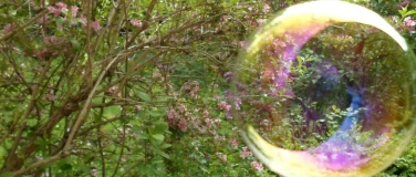 Event-Image for 'Pendel-Workshop'