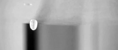 Event-Image for 'ENERGIEN &ndash; Ute Seifert and Friends'