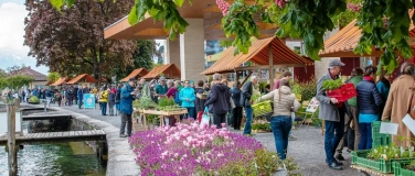 Event-Image for 'ProSpecieRara-Setzlingsmarkt'