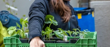 Event-Image for 'ProSpecieRara-Setzlingsmarkt'