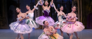 Event-Image for 'Dornröschen - Festival Ballet & Festival Orchestra'