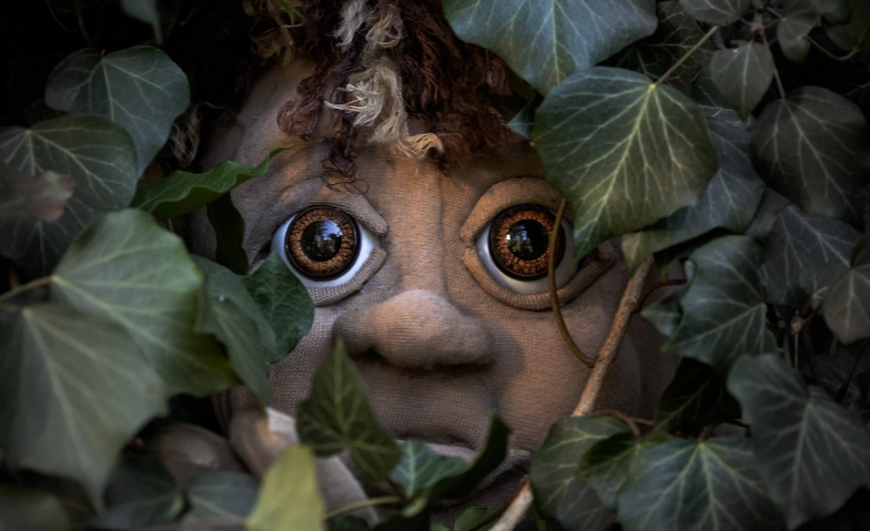 Event-Image for 'Muggli, dr Waldtroll'