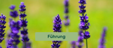 Event-Image for 'Alles Dufte - das Potenzial der &auml;therischen &Ouml;le'