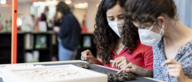 Event-Image for 'On the traces of history. Guided tour in English'