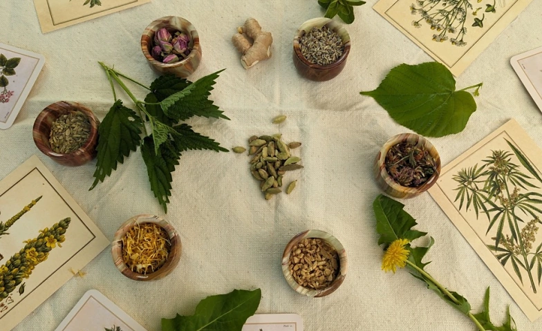 Event-Image for 'Heilkr&auml;uterwissen als solidarische Praxis'