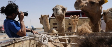 Event-Image for 'Forty Days Road - Ein Dokumentarfilm von Animals' Angels'