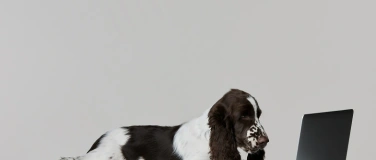 Event-Image for 'Grundlagen der Hundeern&auml;hrung'
