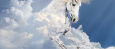 Event-Image for 'Heilung von Depressionen und esoterischen Nebenwirkungen'