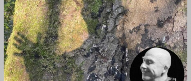 Event-Image for 'Simon Weiland: Im Wald'