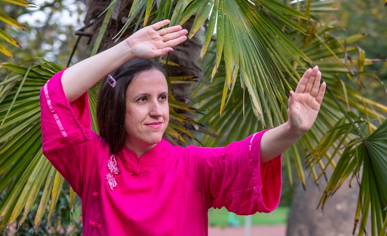 Event-Image for 'Tai Chi f&uuml;r Anf&auml;nger'