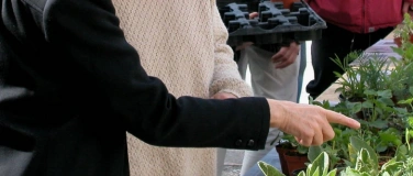 Event-Image for 'Wildpflanzen- und Kr&auml;utermarkt Sissach'