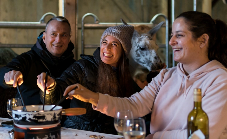 Event-Image for 'Fondue inmitten Alpakas - Bergdietikon'