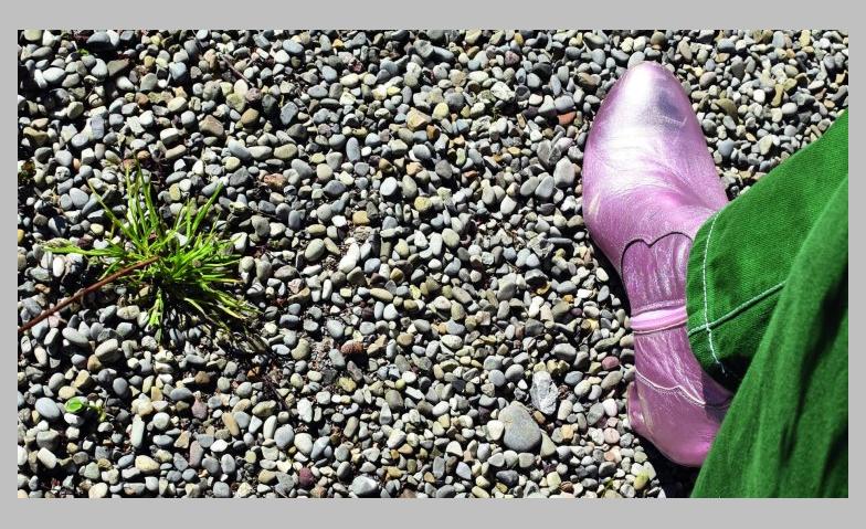 Event-Image for 'Sonderausstellung «Kleiner Kiesel ganz gross»'