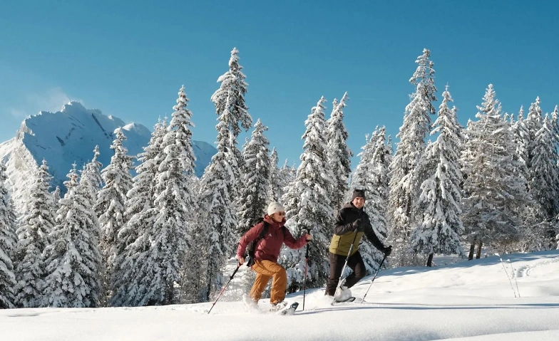 Event-Image for 'Schneeschuhtour im Allgäu'