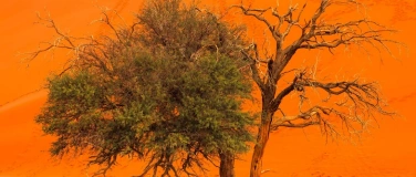 Event-Image for 'Traumhaftes Namibia'