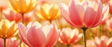 Event-Image for 'Chornacht sakral Fr&uuml;hlingsabend'