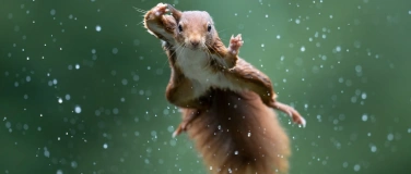 Event-Image for 'Testevent'