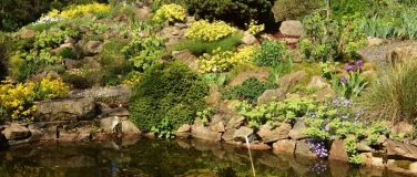 Event-Image for '16. Tag der Parks und Gärten im Dresdner Heidebogen'