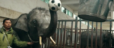 Event-Image for 'Stealing Giants'