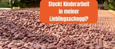 Event-Image for 'Warum steckt Kinderarbeit in unserer Schoggi? (inkl.)'