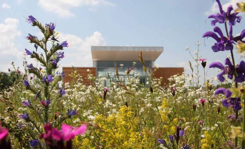 Event-Image for 'Heideabenteuer in den Sommerferien'