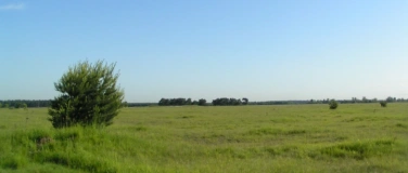 Event-Image for 'Neophyten entfernen'