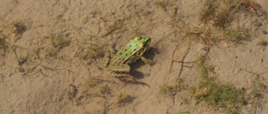 Event-Image for 'Mensch und Natur in der Heide'