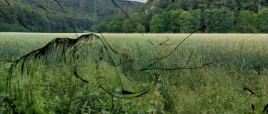 Event-Image for 'Erlebnisführung Höhle mit Speerschleudern'