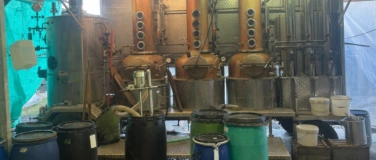 Event-Image for 'Vom Apfel zum Tresterbrand'