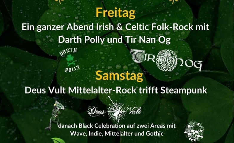 Event-Image for 'St. Patricks Day Party Festival 2025'