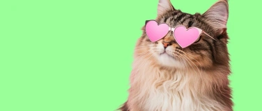 Event-Image for 'Jugendorchester Freiamt - «Love actually»'