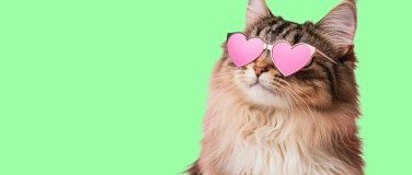 Event-Image for 'Jugendorchester Freiamt «Love actually-Alles über die Liebe»'