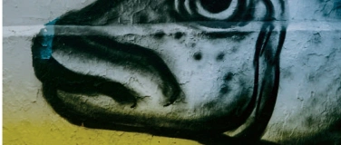 Event-Image for 'Kammerorchester musica movendi - Svensk Musik'