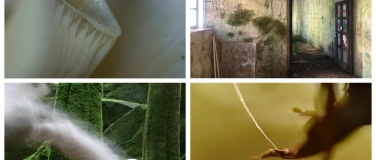 Event-Image for 'Natur: ..., because nothing lasts forever'